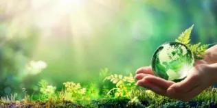 a hand holding a glass globe against a leafy background